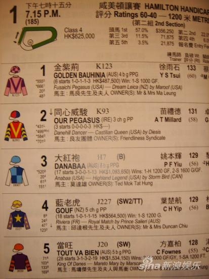 2019马会正版资枓盛典，正版权益与文化交流盛宴-第1张图片