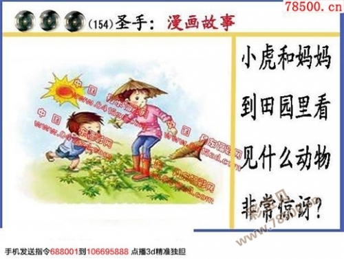 双色球圣手双色球圣手传奇