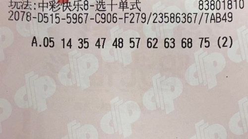 快乐8开奖查询结果揭晓-第2张图片