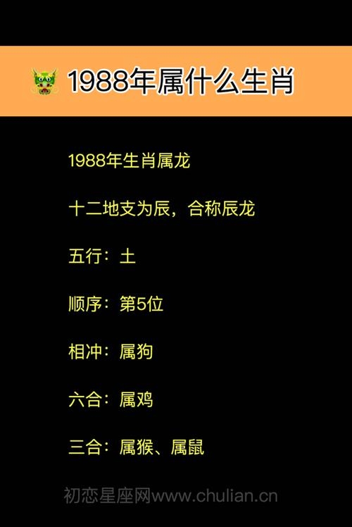 丢三落四是什么生肖-第1张图片