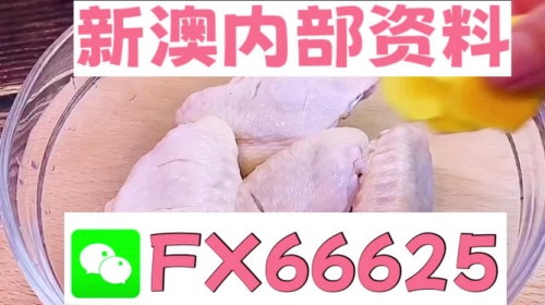 一码一肖 中特 内部一码一肖，中特之探索-第1张图片