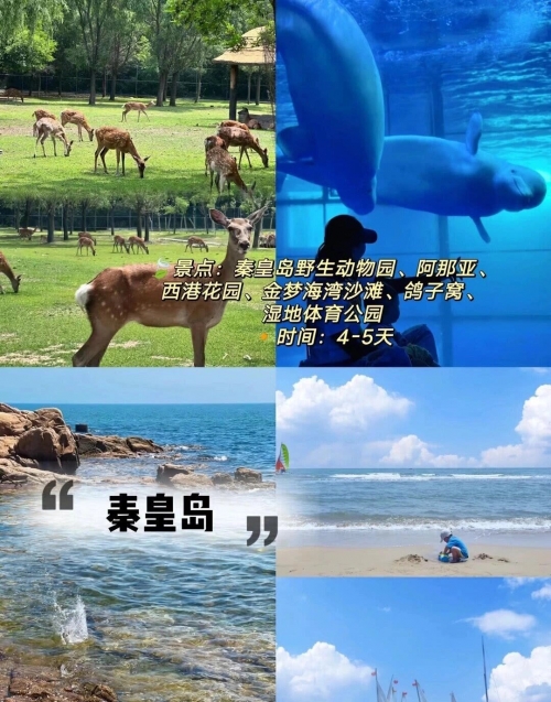 蓝月亮心水论坛，探索心灵交流的海洋-第1张图片