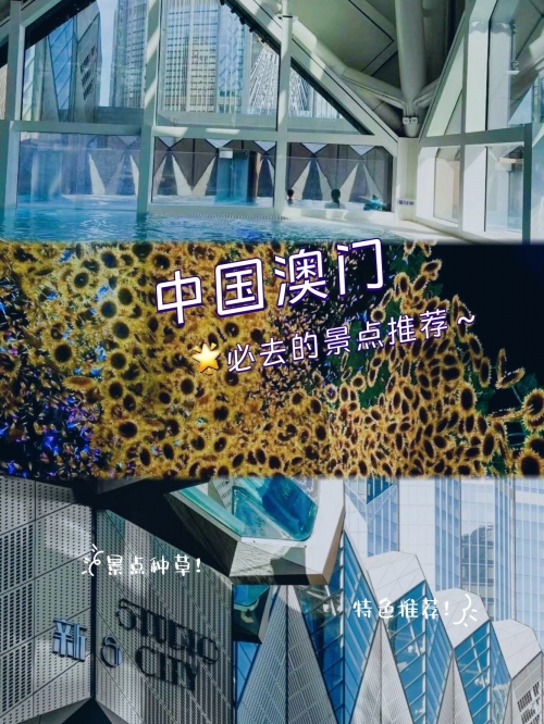 澳门之旅，探索Haobc.vip的神秘世界-第2张图片