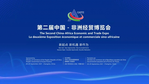 全讯网论坛，探索网络交流的新天地