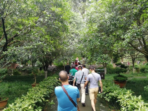 荷桂生态文化旅游节盛大开幕-第2张图片