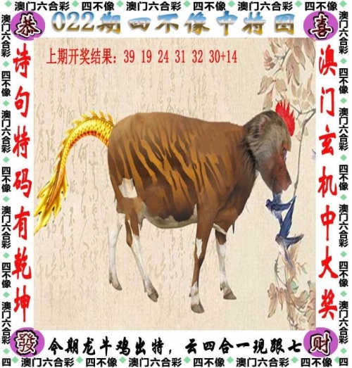 2020澳门开奖记录开奖现场2020澳门开奖记录，开奖现场揭秘-第2张图片