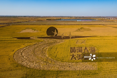6合图库下载官方网站六合图，天地间的艺术画卷-第3张图片
