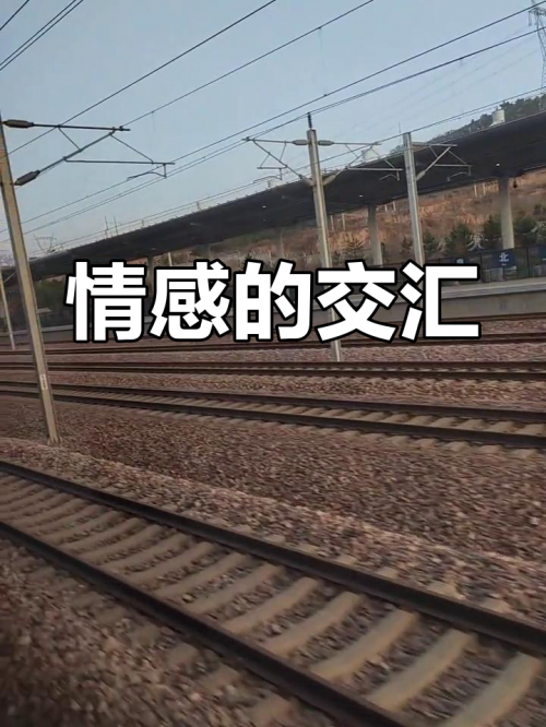 爱唯侦察论坛官网登录入口爱唯侦察论坛，探索真相与情感交织的世界-第3张图片
