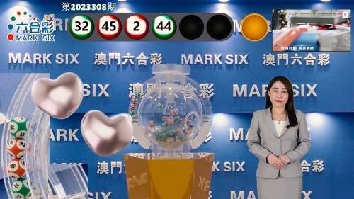 2023澳门资料大全正版1202023澳门资料大全正版120页-第2张图片