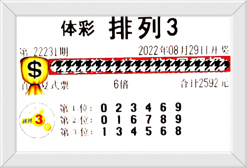 王中王四肖资料四肖中特王中王期，体育竞技的荣耀时刻