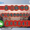 2023香港今晚特马开什么号码2023香港今晚特马，璀璨夜空下的盛事