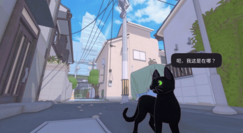 小猫咪在大城市-第2张图片
