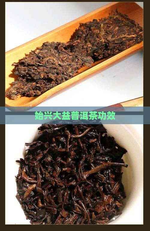 大益普洱茶功效与作用大益普洱茶功效与作用-第2张图片
