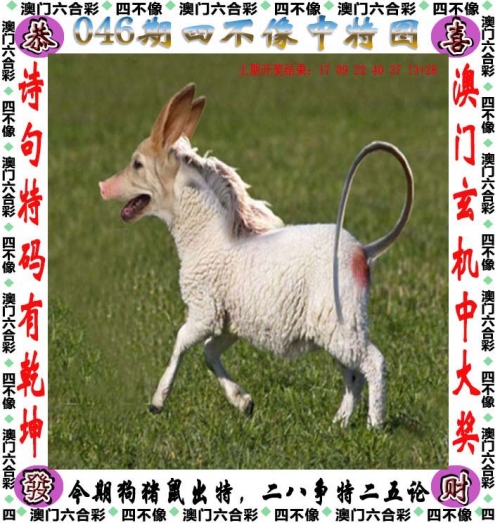2023一肖一码100%中奖准2023一肖一码，100%中奖指南-第1张图片