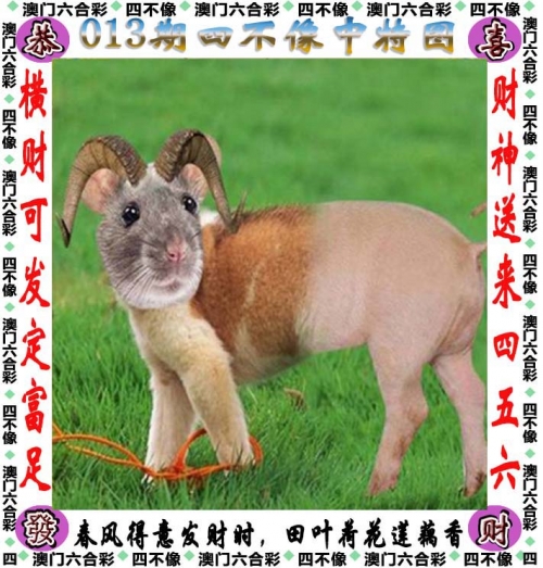 香港二四六天天好彩图玄机香港二四六天天好彩图玄机