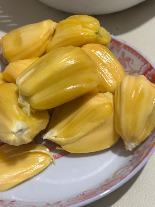 菠萝菠萝蜜最新高清菠萝菠萝蜜手机网，探索科技新世界