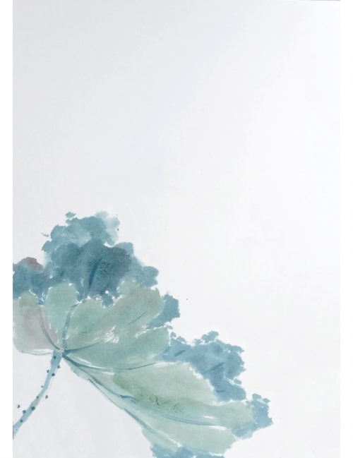 出水芙蓉什么意思出水芙蓉，美的象征与寓意-第1张图片