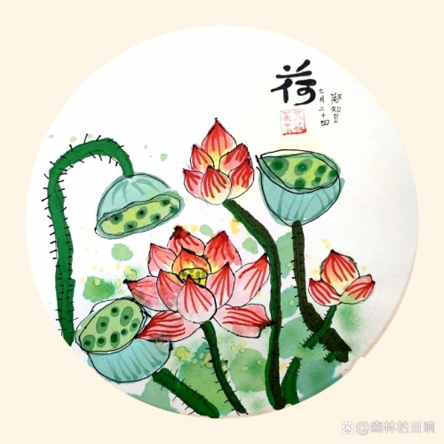 出水芙蓉什么意思出水芙蓉，美的象征与寓意-第3张图片