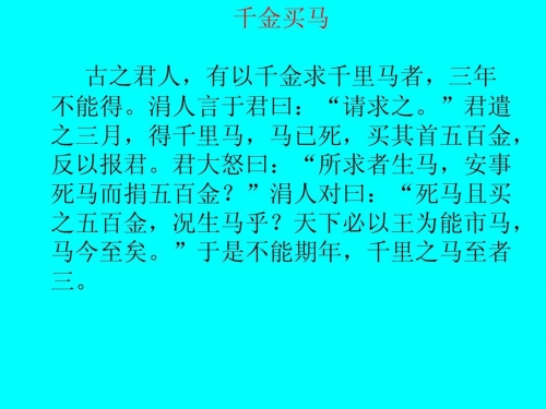 买马网站 12生肖官网2025澳门买马网，引领马匹交易新风尚-第2张图片