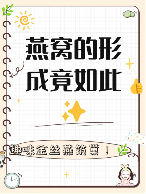 金丝燕初次做的窝我们把它叫做金丝燕初次做的窝——大自然的奇迹