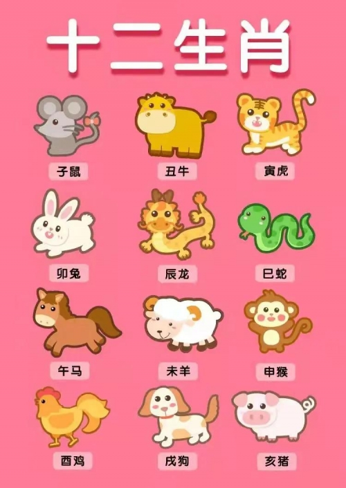 框子是特马是什么生肖框子是特马是什么生肖
