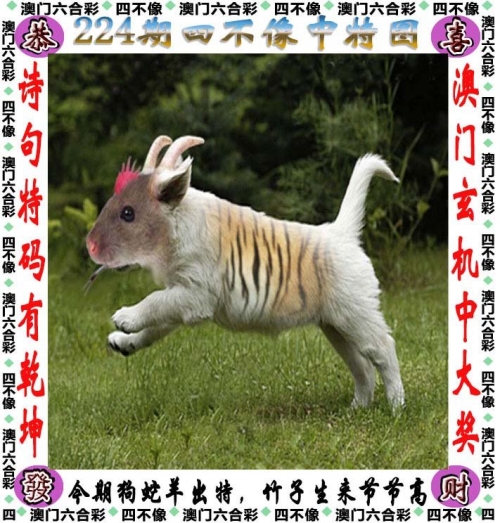 香港免费公开资料大全香港免费公开资料大全