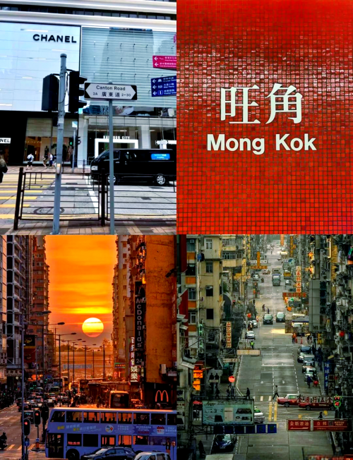 香港澳门资料免费开的什么马香港澳门资料免费，探索两地历史与文化的珍贵资源-第2张图片