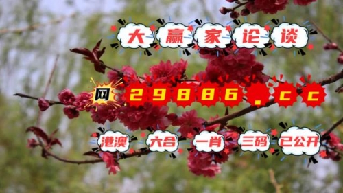 2022年澳门开奖结果揭晓，回顾与展望