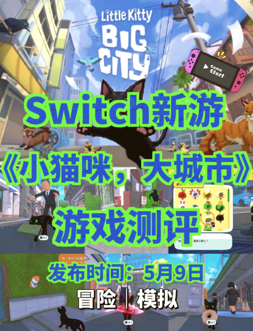 小猫咪大城市小猫咪在大城市的生活