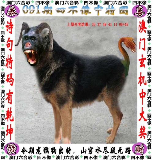 2024香港历史开奖结果查询表图片2024香港历史开奖结果回顾-第2张图片