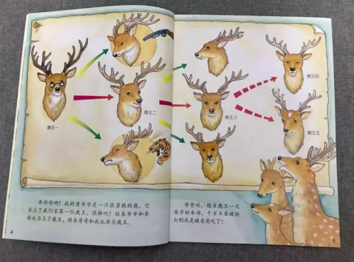 老虎宝典，解锁自然之秘-第1张图片