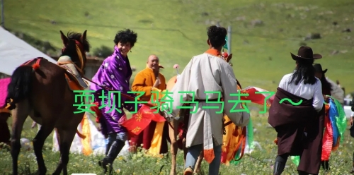 买马最准的资料2021买马最准的资料2019-第3张图片