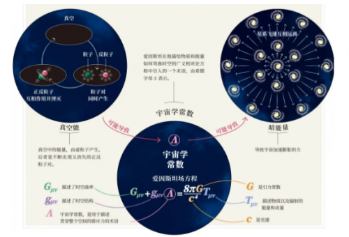 关于111555.net的探索与解析