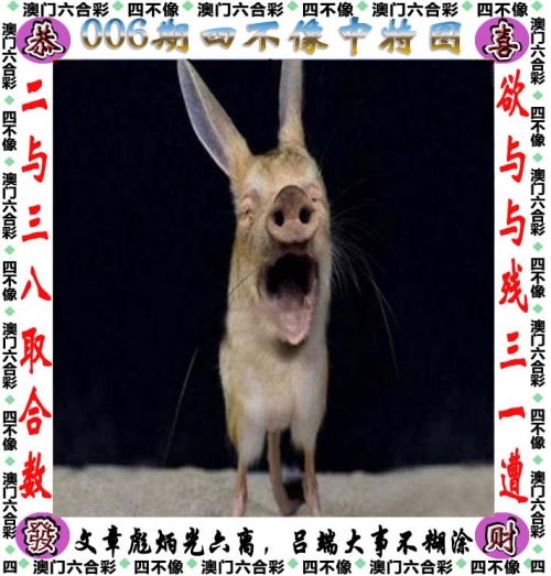 香港曾道六肖精选一肖香港曾道六肖精选一肖，揭秘预测与策略-第2张图片