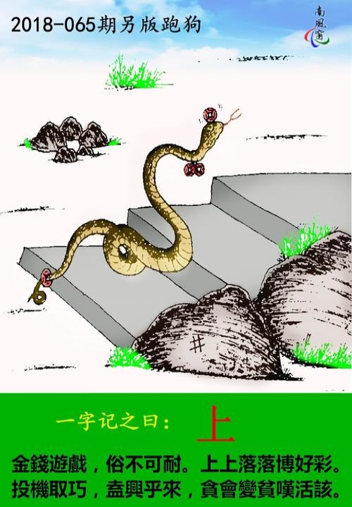376969凤凰风站376969凤凰风站，探索未知的魅力之地