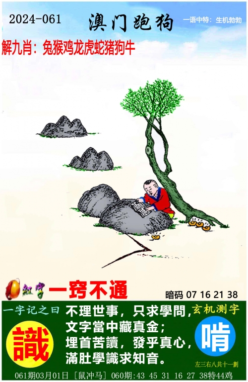 2023全年澳门资料免费看2023澳门全年免费资料大观-第2张图片