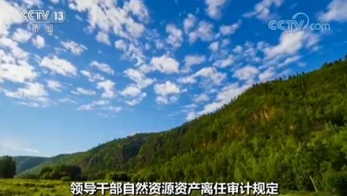 时彩网，探索数字时代的彩票新世界