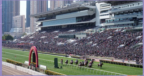 香港赛马官网香港赛马官网，探索赛马世界的门户-第2张图片