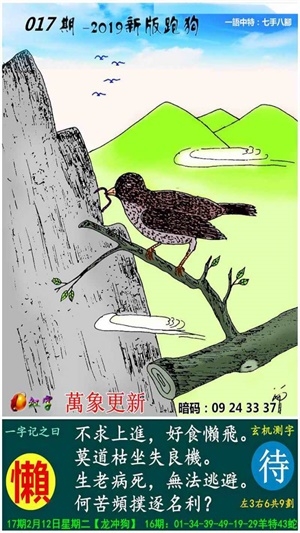 澳门2020码开奖记录