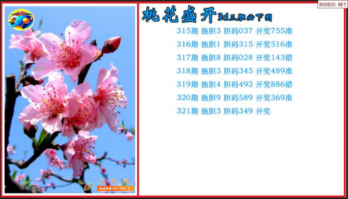 曾道人内幕玄机