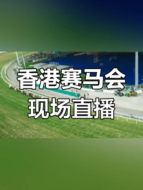 香港赛马官网香港赛马官网，探索赛马世界的门户
