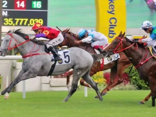 香港赛马官网香港赛马官网，探索赛马世界的门户-第2张图片