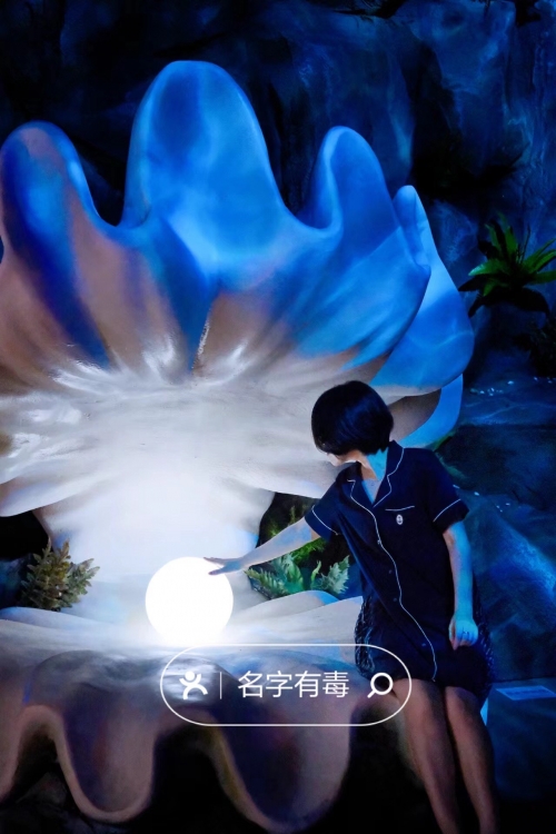沉浸世界沉浸世界，探索无限可能-第1张图片