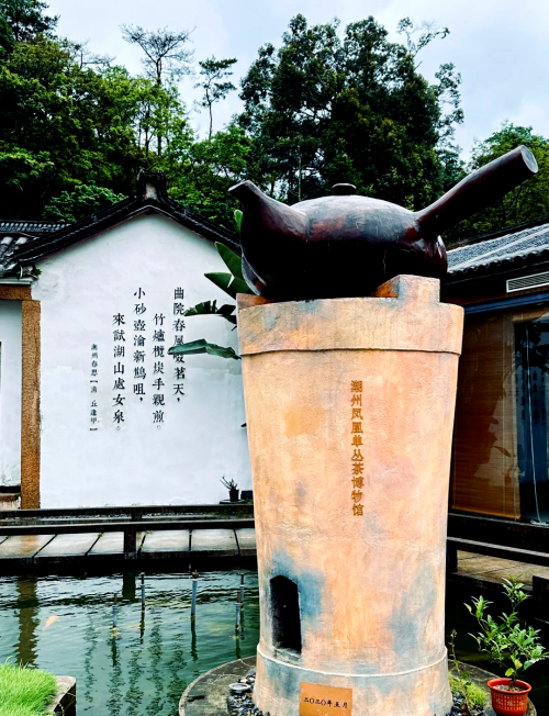 潮汕茶潮汕茶文化，品味与传承-第3张图片