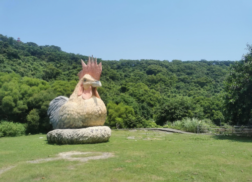放鸡岛旅游景点介绍放鸡岛旅游攻略-第1张图片