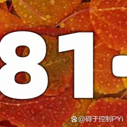 河内1分彩稳赚公式河内1分彩，探索未知的乐趣