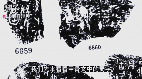 8888y背后的神秘力量-第2张图片
