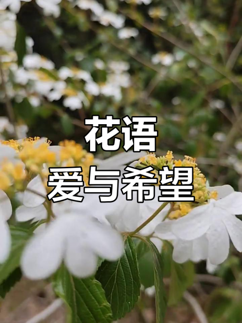 爱与希望，吉他谱解读
