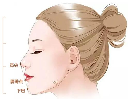 大下巴之美