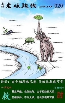 308二四六玄机资料大全-第2张图片